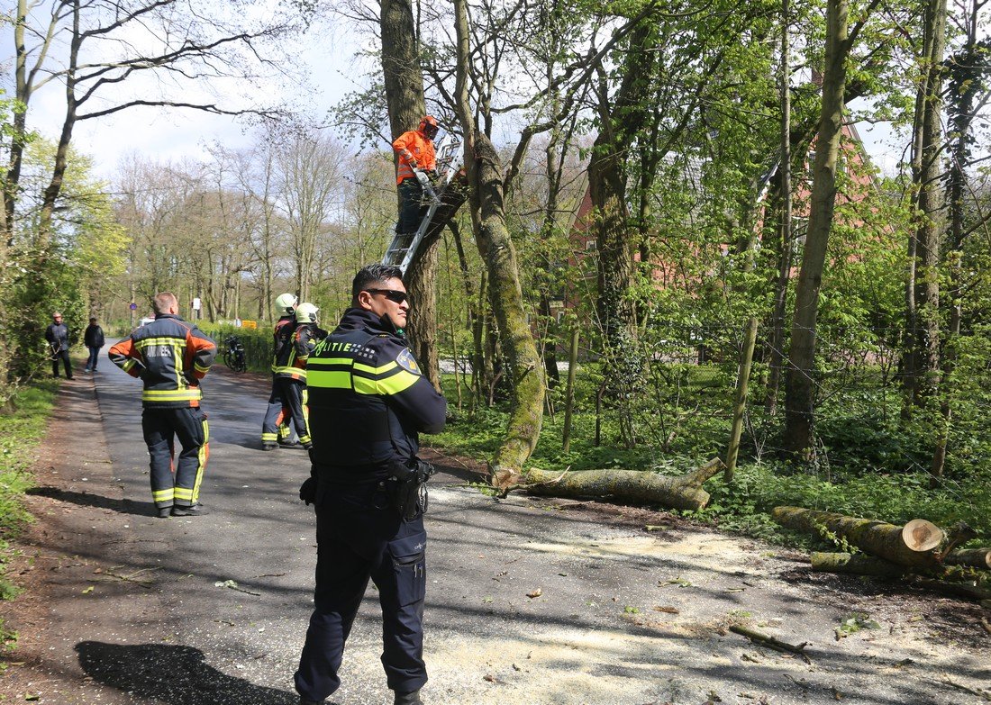 Grote tak breekt af Westeinde Noordwijkerhout